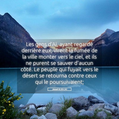 Picture 05 - Josué 8:20 LSG - Les gens d'Aï, ayant regardé derrière eux, - Bible Verse Picture