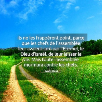 Picture 05 - Josué 9:18 LSG - Ils ne les frappèrent point, parce que les chefs - Bible Verse Picture