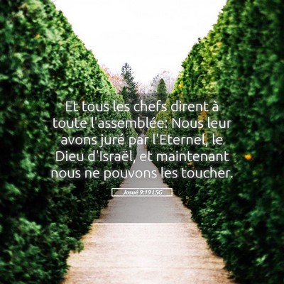 Picture 05 - Josué 9:19 LSG - Et tous les chefs dirent à toute l'assemblée: - Bible Verse Picture