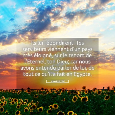 Picture 05 - Josué 9:9 LSG - Ils lui répondirent: Tes serviteurs viennent - Bible Verse Picture