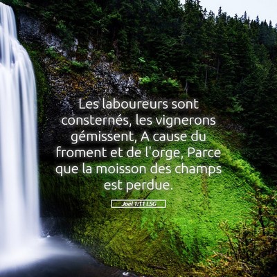 Picture 05 - Joël 1:11 LSG - Les laboureurs sont consternés, les vignerons - Bible Verse Picture