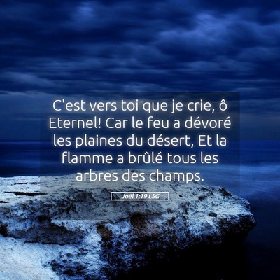 Picture 05 - Joël 1:19 LSG - C'est vers toi que je crie, ô Eternel! Car le - Bible Verse Picture