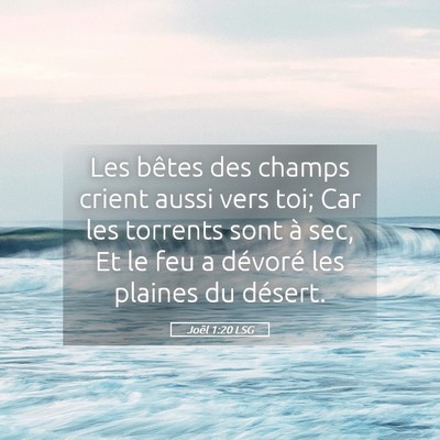 Picture 05 - Joël 1:20 LSG - Les bêtes des champs crient aussi vers toi; Car - Bible Verse Picture