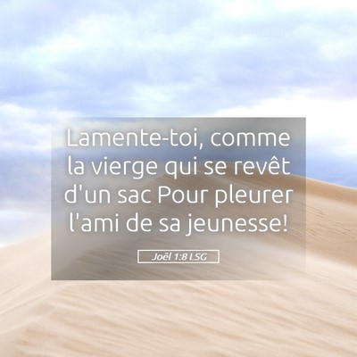 Picture 05 - Joël 1:8 LSG - Lamente-toi, comme la vierge qui se revêt d'un - Bible Verse Picture