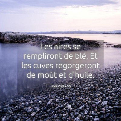Picture 05 - Joël 2:24 LSG - Les aires se rempliront de blé, Et les cuves - Bible Verse Picture