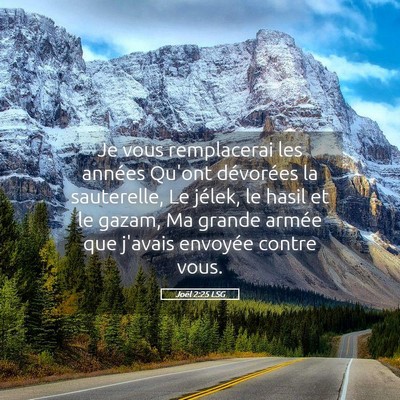 Picture 05 - Joël 2:25 LSG - Je vous remplacerai les années Qu'ont dévorées - Bible Verse Picture