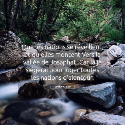 Picture 05 - Joël 3:12 LSG - Que les nations se réveillent, et qu'elles - Bible Verse Picture