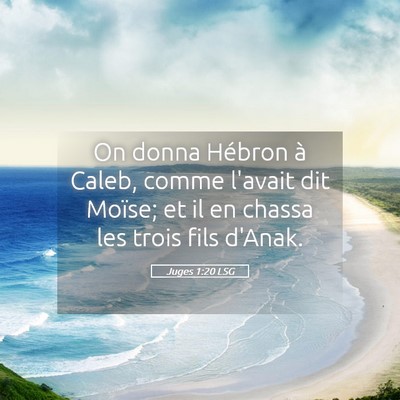 Picture 05 - Juges 1:20 LSG - On donna Hébron à Caleb, comme l'avait dit - Bible Verse Picture