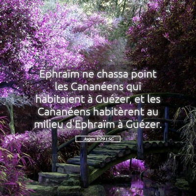 Picture 05 - Juges 1:29 LSG - Ephraïm ne chassa point les Cananéens qui - Bible Verse Picture
