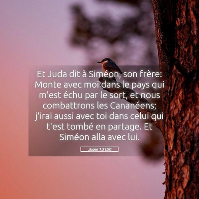 Picture 05 - Juges 1:3 LSG - Et Juda dit à Siméon, son frère: Monte avec - Bible Verse Picture
