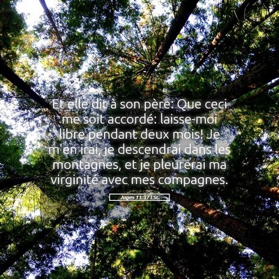 Picture 05 - Juges 11:37 LSG - Et elle dit à son père: Que ceci me soit - Bible Verse Picture