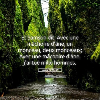 Picture 05 - Juges 15:16 LSG - Et Samson dit: Avec une mâchoire d'âne, un - Bible Verse Picture