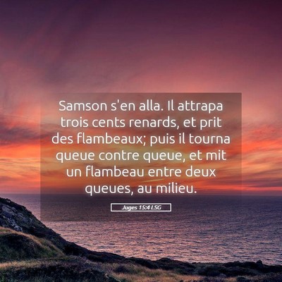 Picture 05 - Juges 15:4 LSG - Samson s'en alla. Il attrapa trois cents renards, - Bible Verse Picture