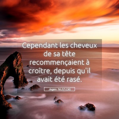 Picture 05 - Juges 16:22 LSG - Cependant les cheveux de sa tête recommençaient - Bible Verse Picture