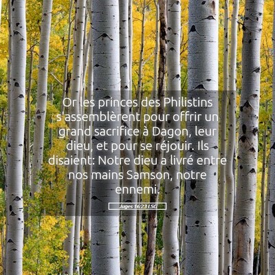 Picture 05 - Juges 16:23 LSG - Or les princes des Philistins s'assemblèrent - Bible Verse Picture