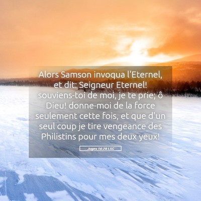 Picture 05 - Juges 16:28 LSG - Alors Samson invoqua l'Eternel, et dit: Seigneur - Bible Verse Picture