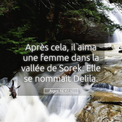 Picture 05 - Juges 16:4 LSG - Après cela, il aima une femme dans la vallée de - Bible Verse Picture