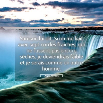 Picture 05 - Juges 16:7 LSG - Samson lui dit: Si on me liait avec sept cordes - Bible Verse Picture
