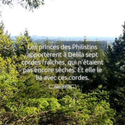 Picture 05 - Juges 16:8 LSG - Les princes des Philistins apportèrent à Delila - Bible Verse Picture