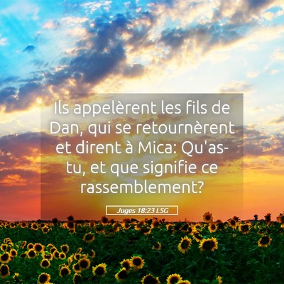 Picture 05 - Juges 18:23 LSG - Ils appelèrent les fils de Dan, qui se - Bible Verse Picture