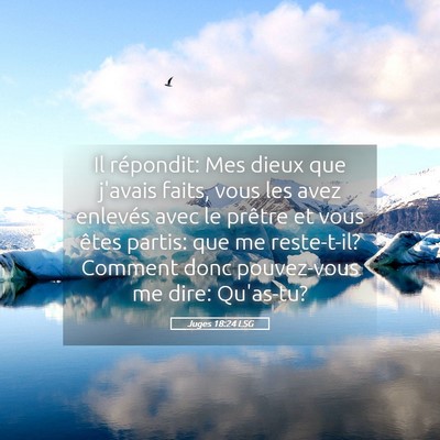 Picture 05 - Juges 18:24 LSG - Il répondit: Mes dieux que j'avais faits, vous - Bible Verse Picture