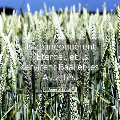 Picture 05 - Juges 2:13 LSG - Ils abandonnèrent l'Eternel, et ils servirent - Bible Verse Picture