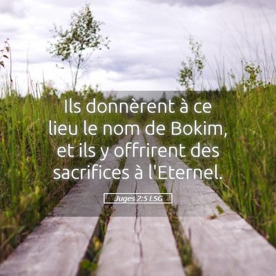 Picture 05 - Juges 2:5 LSG - Ils donnèrent à ce lieu le nom de Bokim, et ils - Bible Verse Picture