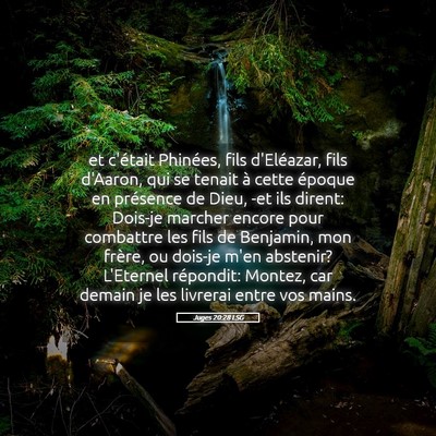 Picture 05 - Juges 20:28 LSG - et c'était Phinées, fils d'Eléazar, fils - Bible Verse Picture
