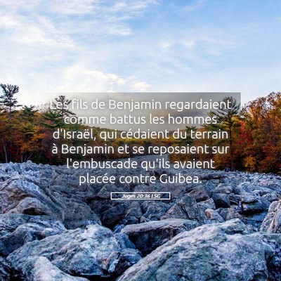 Picture 05 - Juges 20:36 LSG - Les fils de Benjamin regardaient comme battus les - Bible Verse Picture