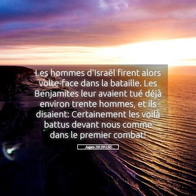 Picture 05 - Juges 20:39 LSG - Les hommes d'Israël firent alors volte-face dans - Bible Verse Picture