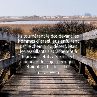 Picture 05 - Juges 20:42 LSG - Ils tournèrent le dos devant les hommes - Bible Verse Picture