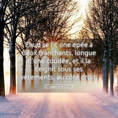 Picture 05 - Juges 3:16 LSG - Ehud se fit une épée à deux tranchants, longue - Bible Verse Picture