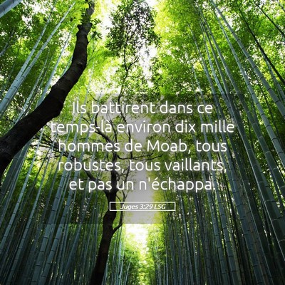 Picture 05 - Juges 3:29 LSG - Ils battirent dans ce temps-là environ dix mille - Bible Verse Picture