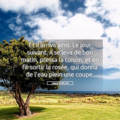 Picture 05 - Juges 6:38 LSG - Et il arriva ainsi. Le jour suivant, il se leva - Bible Verse Picture