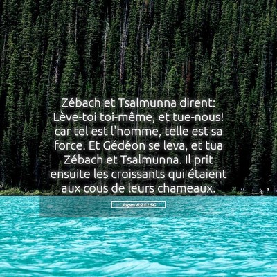 Picture 05 - Juges 8:21 LSG - Zébach et Tsalmunna dirent: Lève-toi toi-même, - Bible Verse Picture