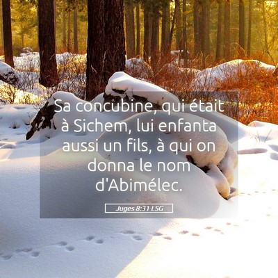 Picture 05 - Juges 8:31 LSG - Sa concubine, qui était à Sichem, lui enfanta - Bible Verse Picture