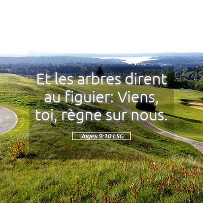 Picture 05 - Juges 9:10 LSG - Et les arbres dirent au figuier: Viens, toi, - Bible Verse Picture