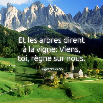 Picture 05 - Juges 9:12 LSG - Et les arbres dirent à la vigne: Viens, toi, - Bible Verse Picture