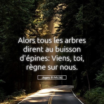 Picture 05 - Juges 9:14 LSG - Alors tous les arbres dirent au buisson - Bible Verse Picture