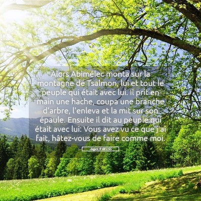 Picture 05 - Juges 9:48 LSG - Alors Abimélec monta sur la montagne de Tsalmon, - Bible Verse Picture