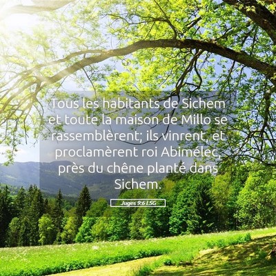 Picture 05 - Juges 9:6 LSG - Tous les habitants de Sichem et toute la maison - Bible Verse Picture