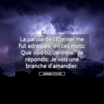 Picture 05 - Jérémie 1:11 LSG - La parole de l'Eternel me fut adressée, en ces - Bible Verse Picture