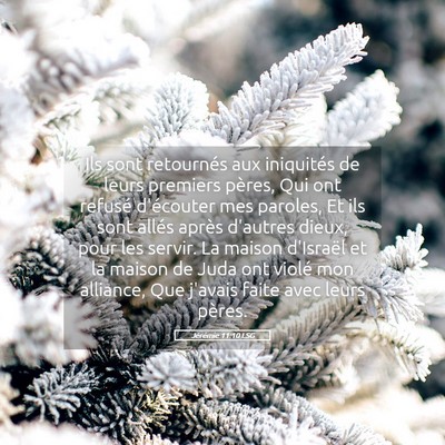 Picture 05 - Jérémie 11:10 LSG - Ils sont retournés aux iniquités de leurs - Bible Verse Picture
