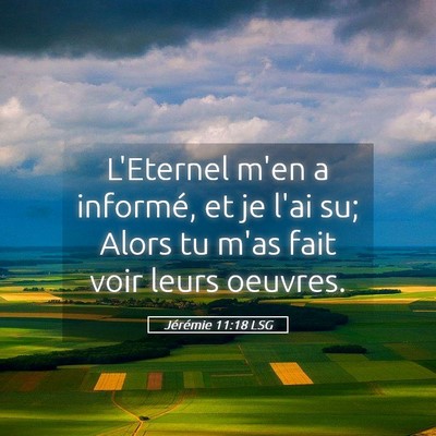 Picture 05 - Jérémie 11:18 LSG - L'Eternel m'en a informé, et je l'ai su; Alors - Bible Verse Picture