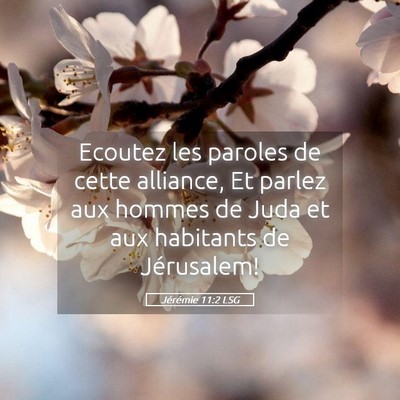 Picture 05 - Jérémie 11:2 LSG - Ecoutez les paroles de cette alliance, Et parlez - Bible Verse Picture