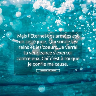 Picture 05 - Jérémie 11:20 LSG - Mais l'Eternel des armées est un juste juge, Qui - Bible Verse Picture