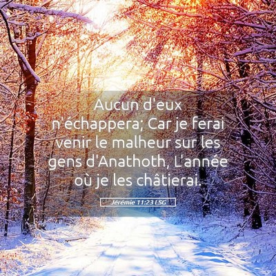 Picture 05 - Jérémie 11:23 LSG - Aucun d'eux n'échappera; Car je ferai venir le - Bible Verse Picture
