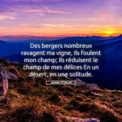 Picture 05 - Jérémie 12:10 LSG - Des bergers nombreux ravagent ma vigne, Ils - Bible Verse Picture