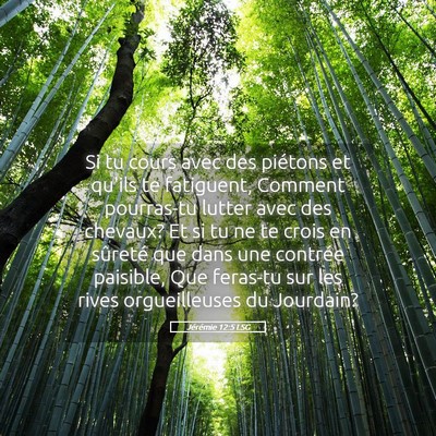 Picture 05 - Jérémie 12:5 LSG - Si tu cours avec des piétons et qu'ils te - Bible Verse Picture