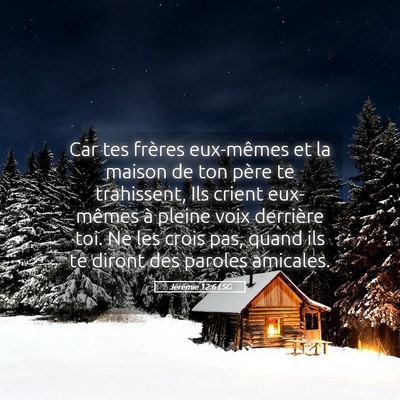 Picture 05 - Jérémie 12:6 LSG - Car tes frères eux-mêmes et la maison de ton - Bible Verse Picture